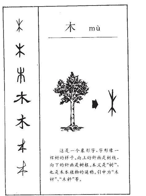 木同音字|木的同音字